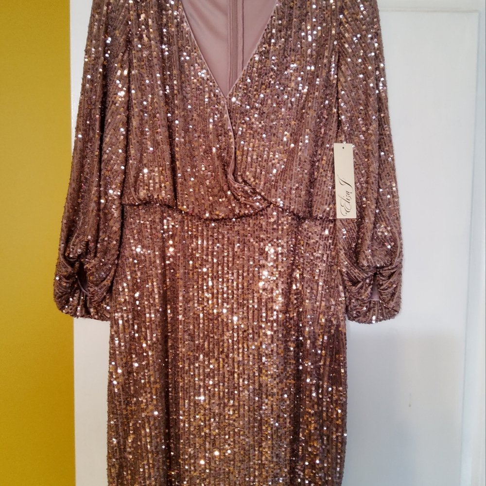 Chic Sequin Dress in Rose Gold